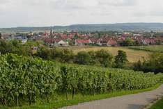 Weingut Sommer - Weingut in Brackenheim