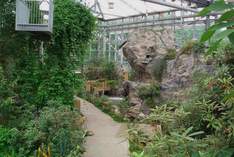 Rhododendron-Park Bremen - Greenhouse in Bremen