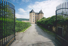 Schloss Steyregg - Castello in Steyregg