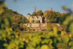 Schloss Kropsburg - Location per matrimoni in Maikammer - Matrimonio